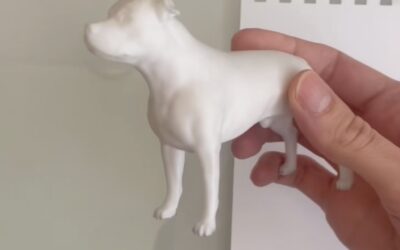 Zakázková výroba 3D postavičky pejska podle fotografie